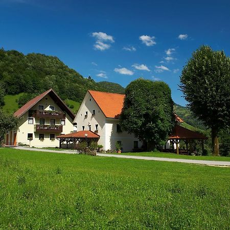 Вілла Tourist Farm Zelinc Церкно Екстер'єр фото