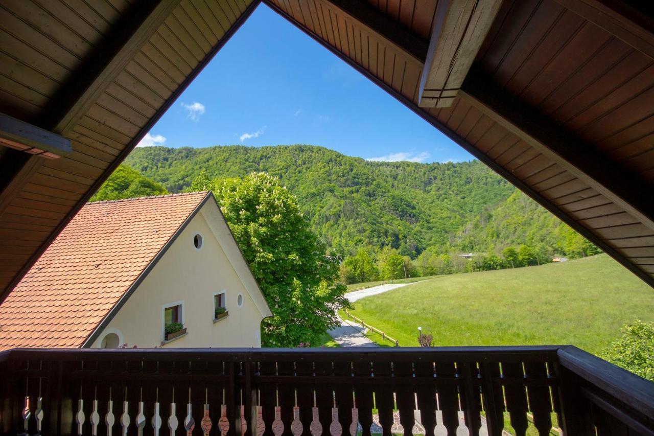 Вілла Tourist Farm Zelinc Церкно Екстер'єр фото