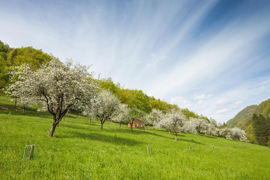 Вілла Tourist Farm Zelinc Церкно Екстер'єр фото
