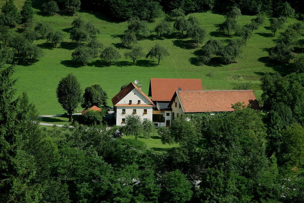 Вілла Tourist Farm Zelinc Церкно Екстер'єр фото
