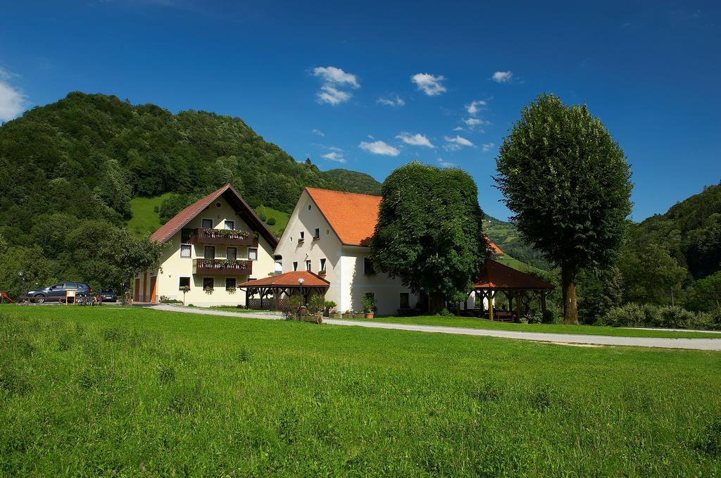 Вілла Tourist Farm Zelinc Церкно Екстер'єр фото
