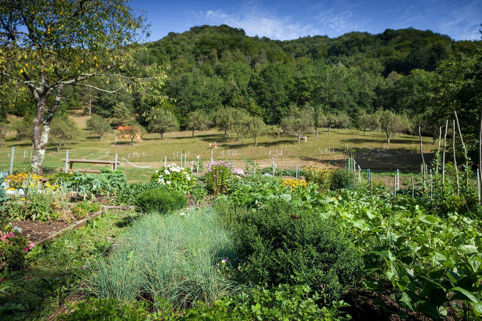 Вілла Tourist Farm Zelinc Церкно Екстер'єр фото