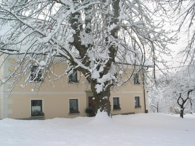 Вілла Tourist Farm Zelinc Церкно Екстер'єр фото